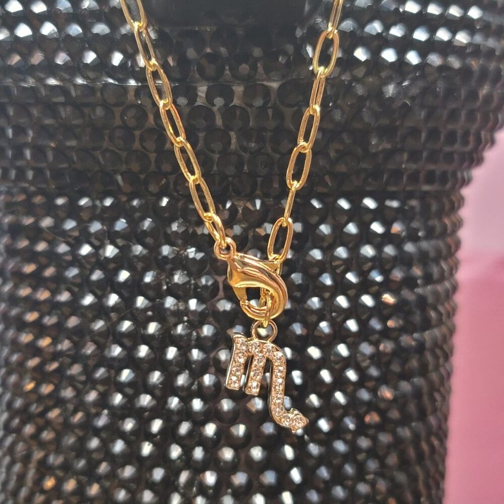 Scorpio Zodiac Tumbler Charm - Picture 4 of 4